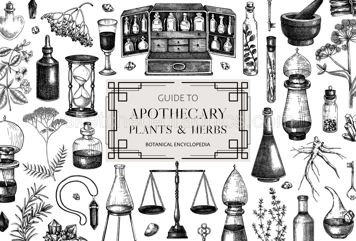Antique apothecary background design. Herbal medicin hand-drawn vector illustrations. Alchemy sketches. Vintage chemistry banner. NOT AI generated Illustration